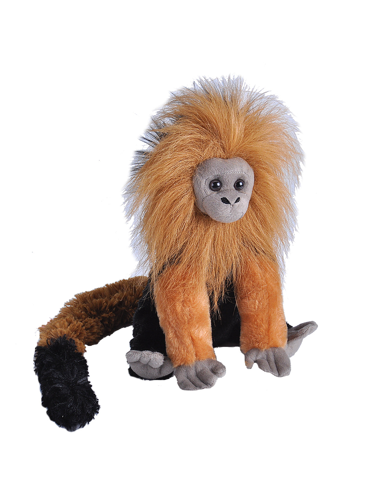 CK Golden Lion Tamarin - 12"