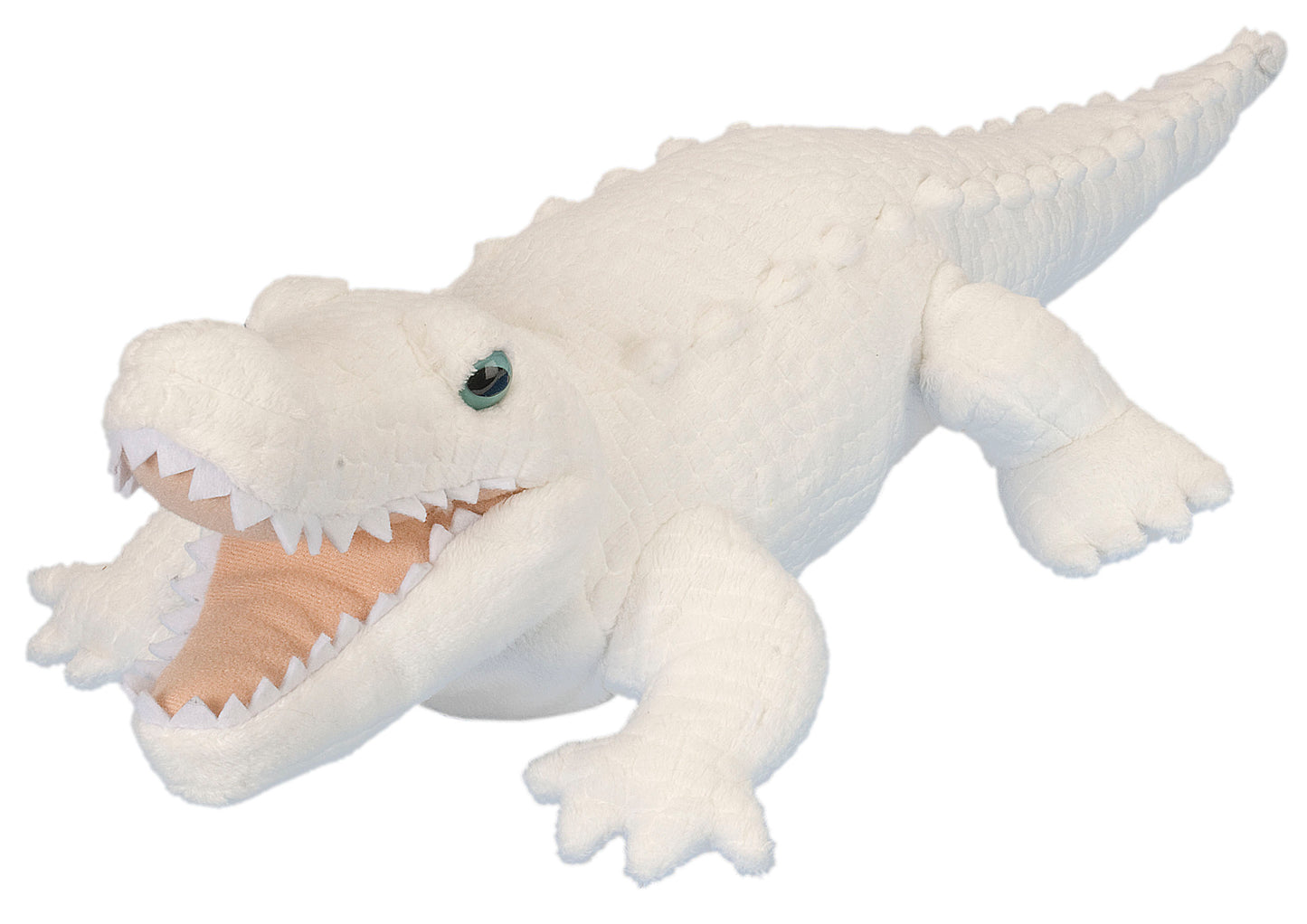 CK Alligator White - 12"
