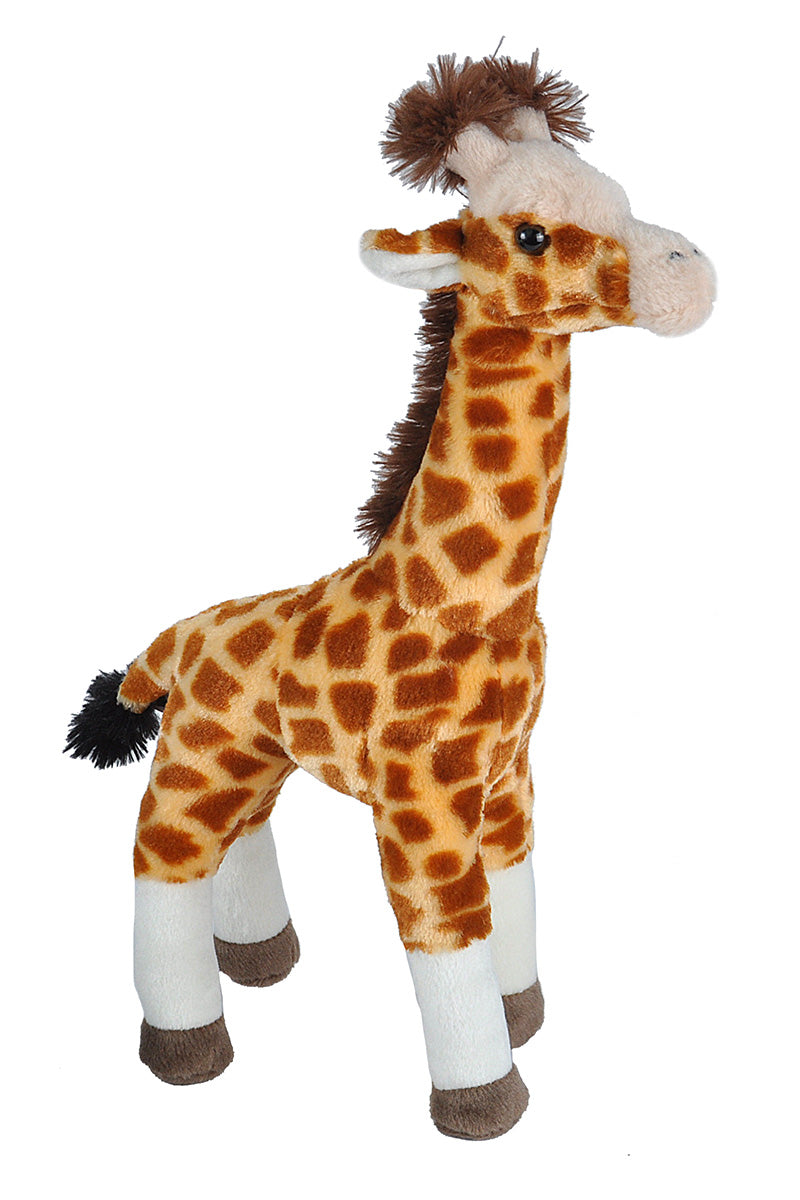 Ck Giraffe Standing - 12