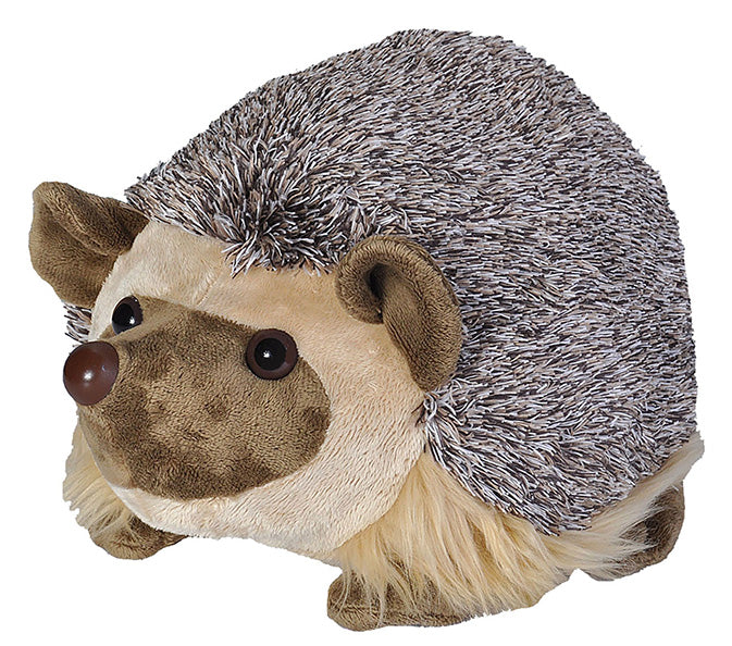 CK African Hedgehog - 12"