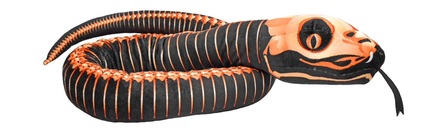 Snake Skeleton - 54"