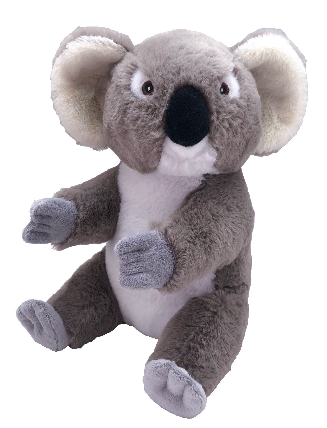 Ecokins Koala - 12