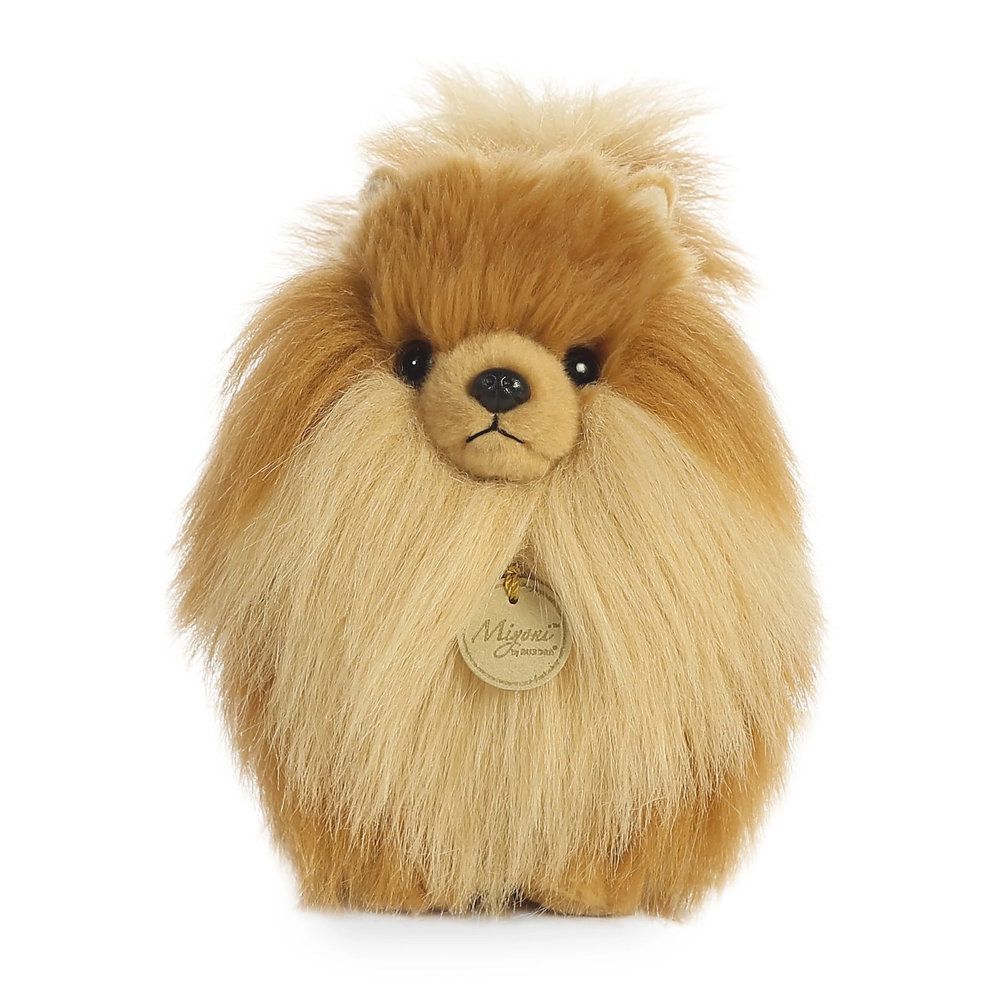 Pomeranian 9"