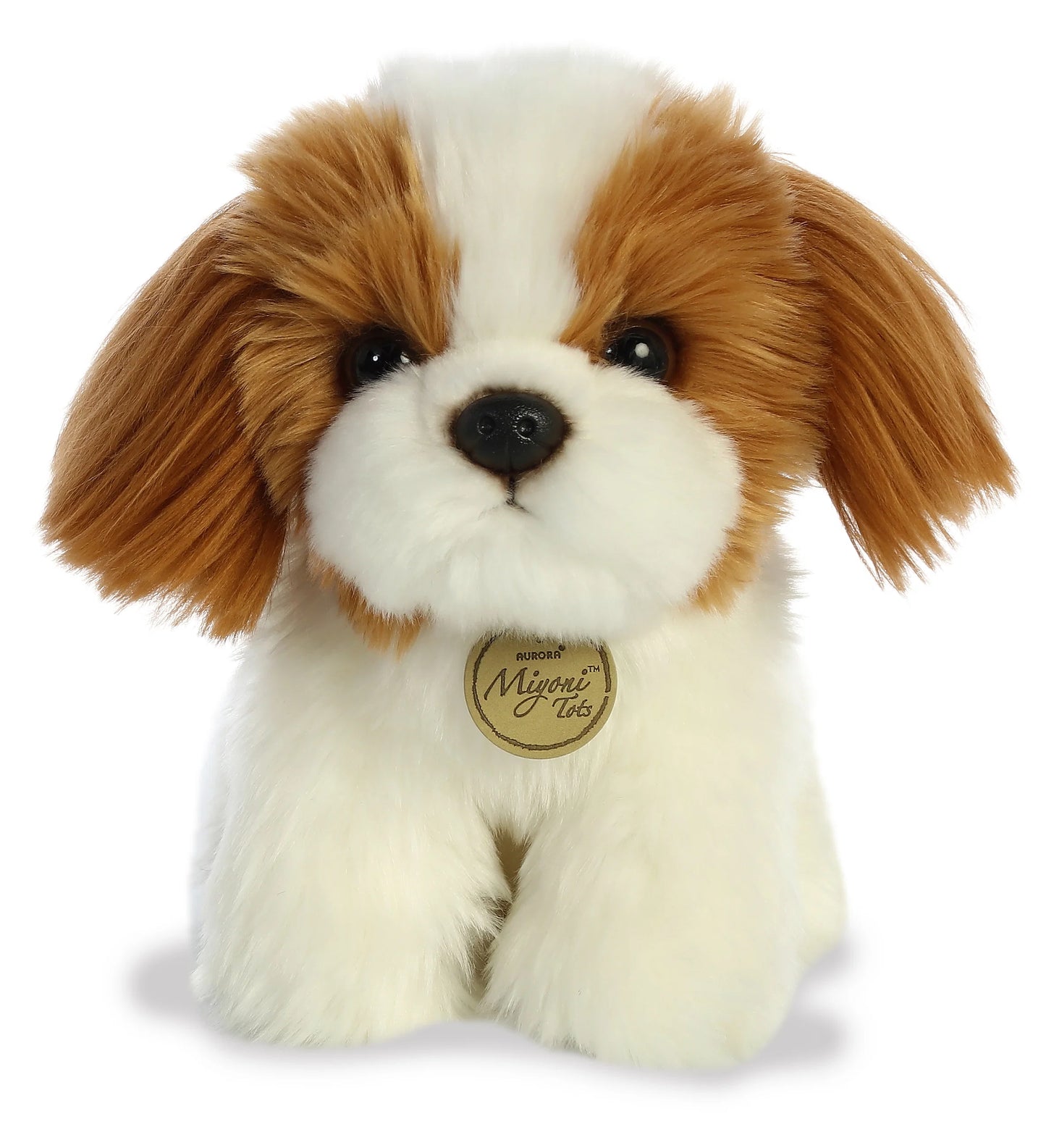 Shih Tzu Pup - Miyoni 11"