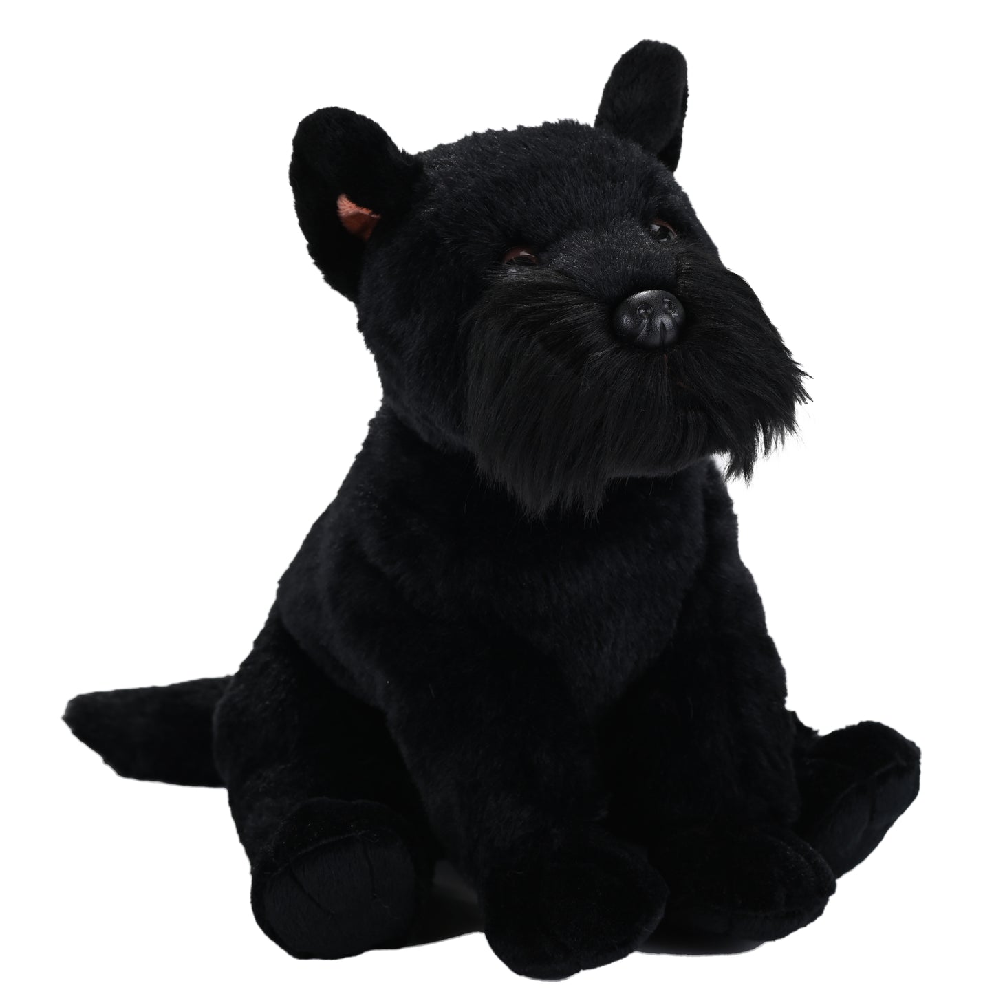 CK Scottish Terrier -12"