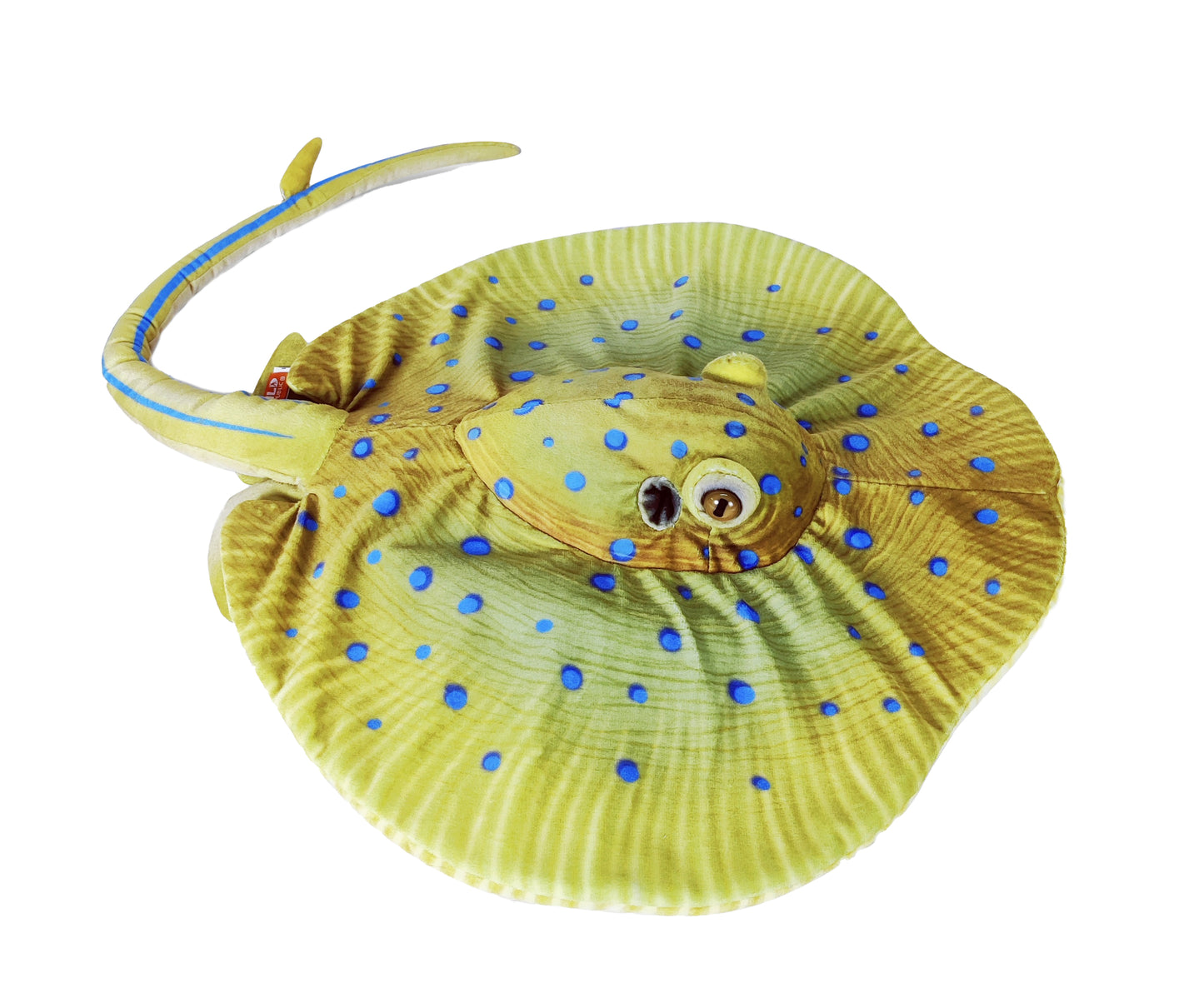 Living Blue Spotted Ray 20"