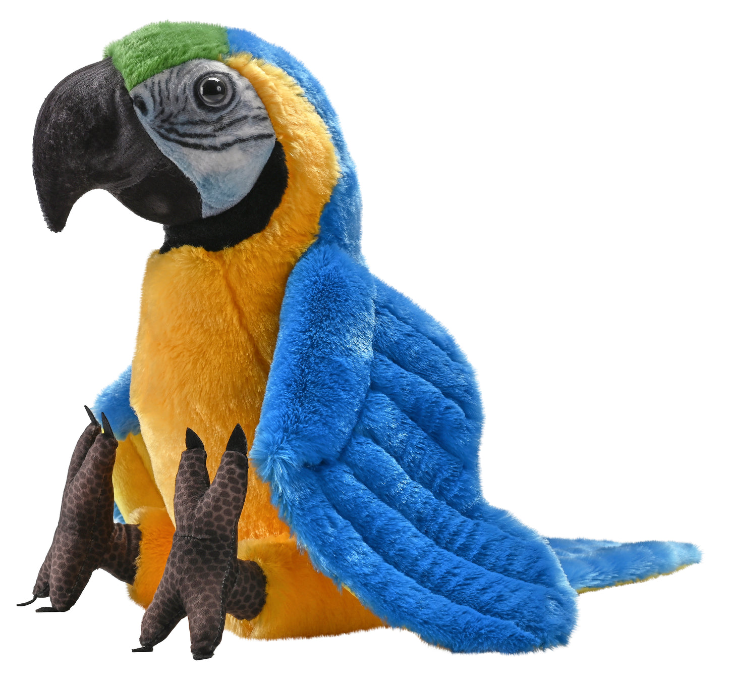 Artist Blue Yellow Macaw 15"