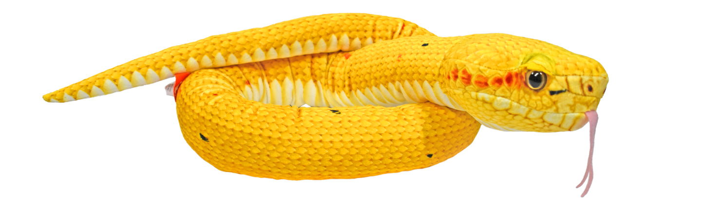 Snake Eye Lash Viper 54"