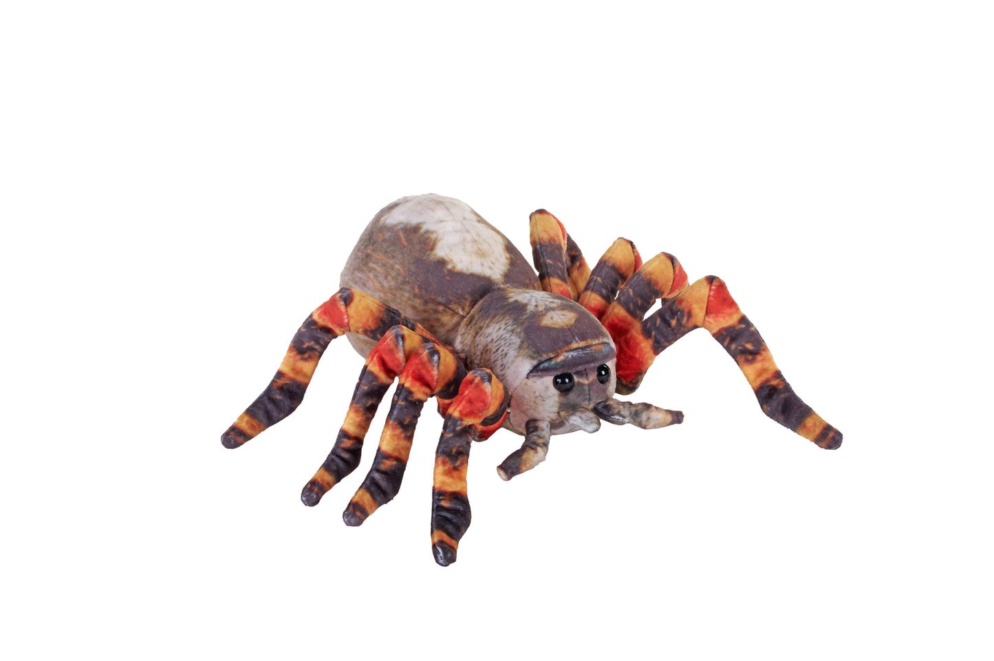 Living Tarantula 12"