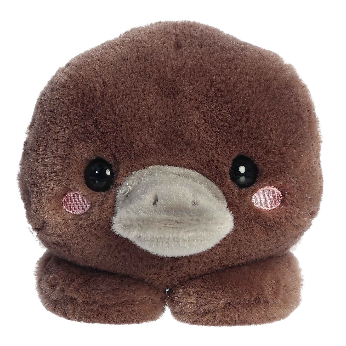 Too Cute Pimmy Platypus 9"