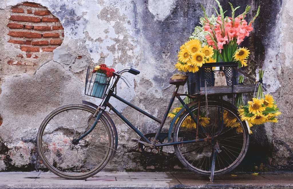 Moments: Bicycle 200 pc