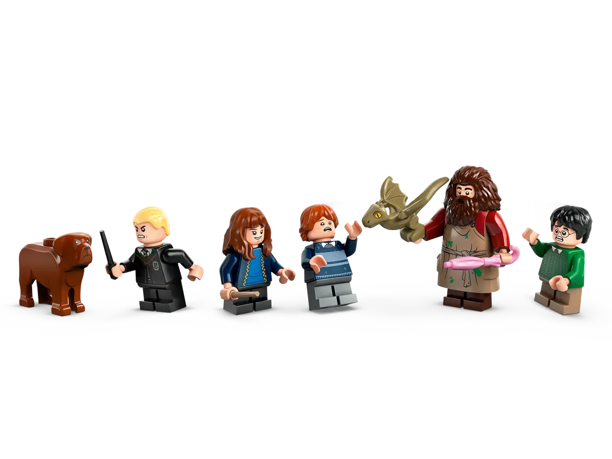 LEGO® Harry Potter™ Hagrid's Hut: An Unexpected Visit (76428)