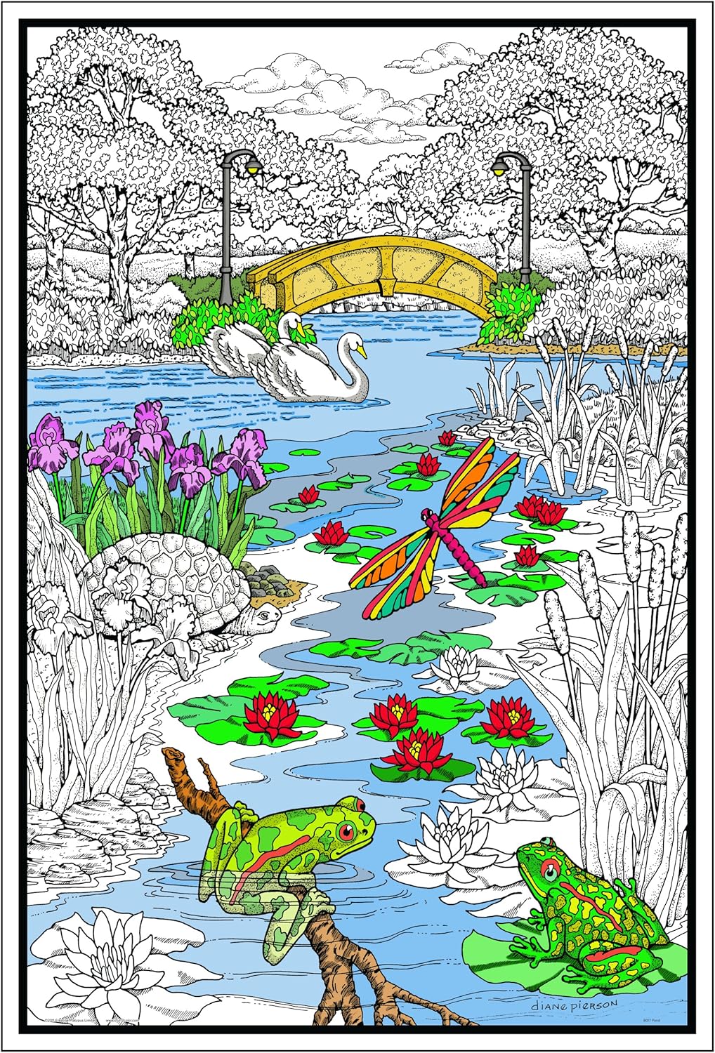 Pond in the Park