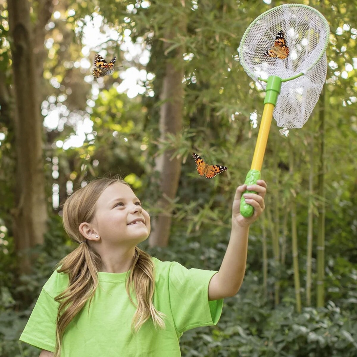Butterfly_Net