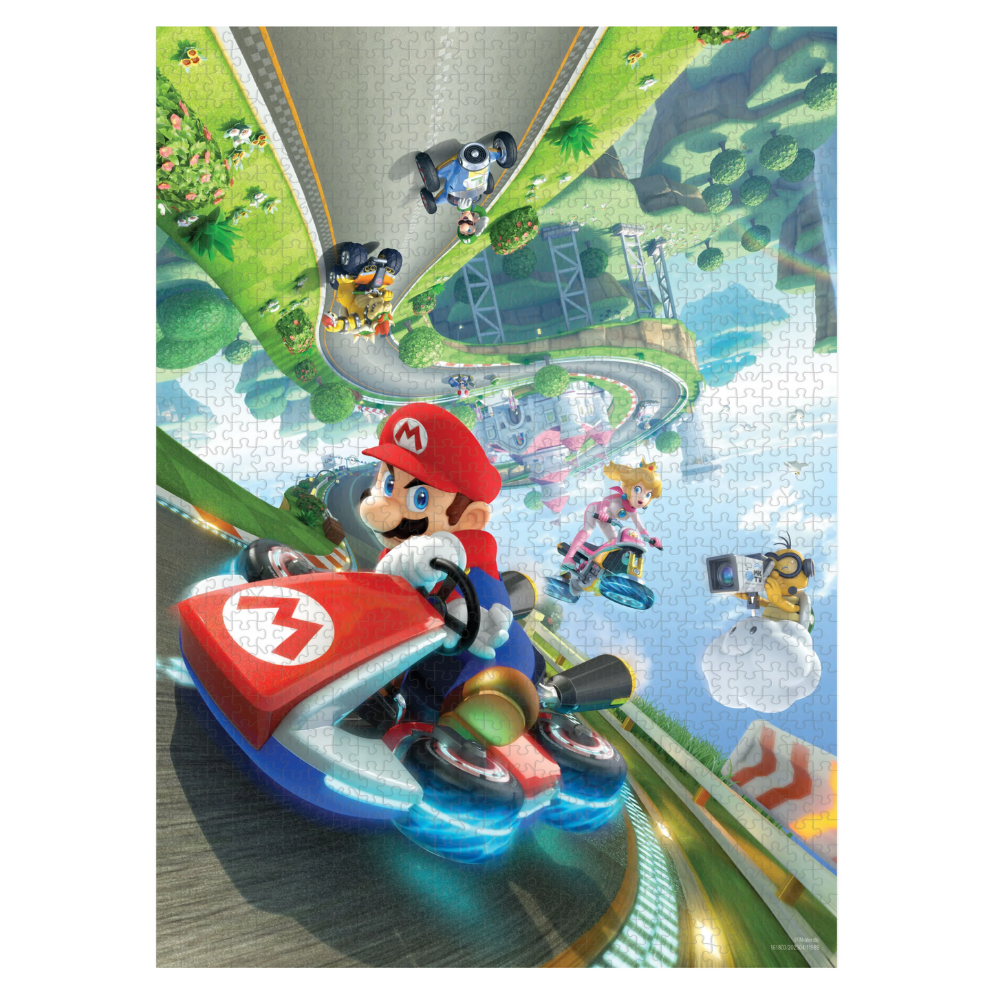 Mario_Kart_Anti-Gravity_1000pc