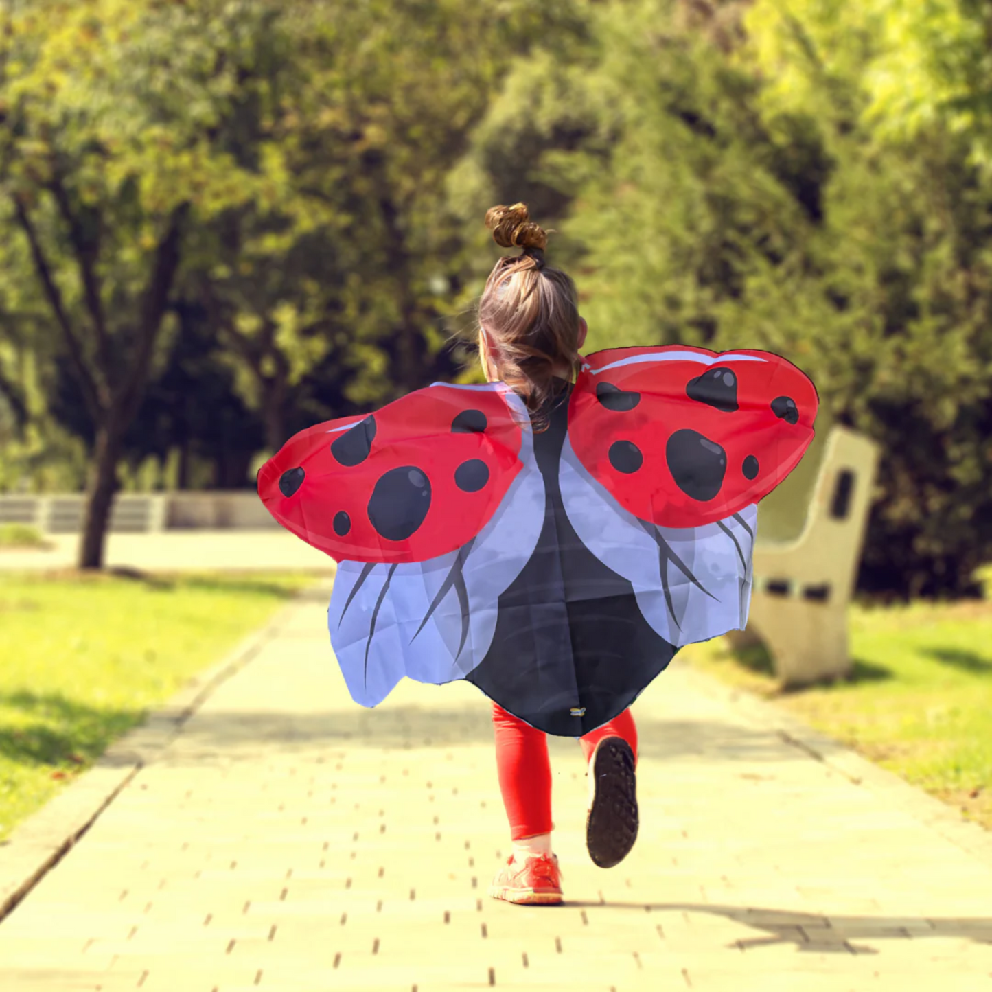 Red_Dress-Up_Ladybug_Wings