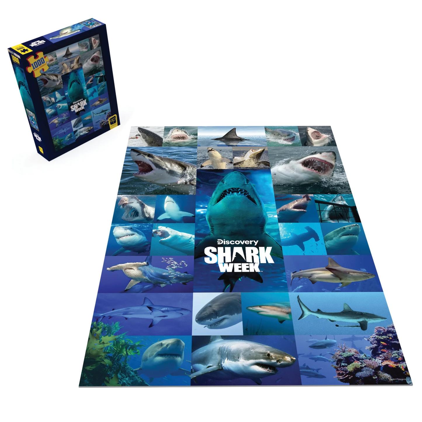Shark_Week_Puzzle_1000pc