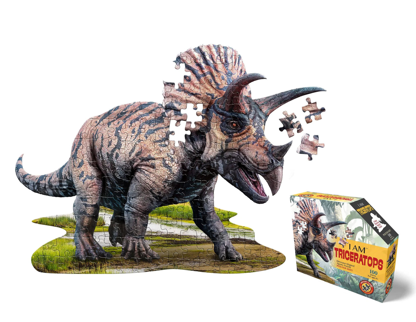 I AM Triceratops 100pc