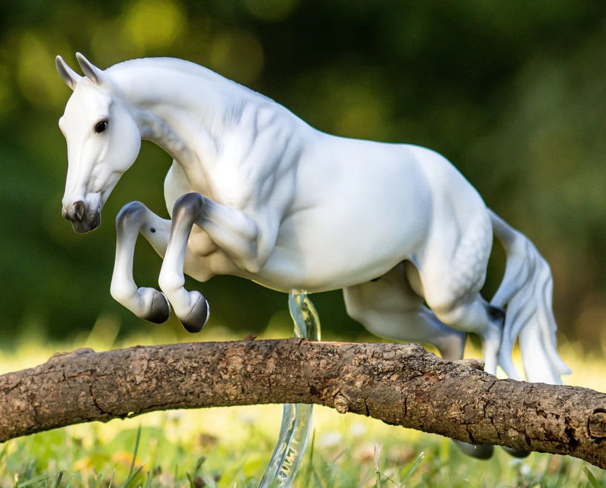 Get Rowdy - Dutch Warmblood (Discontinued)