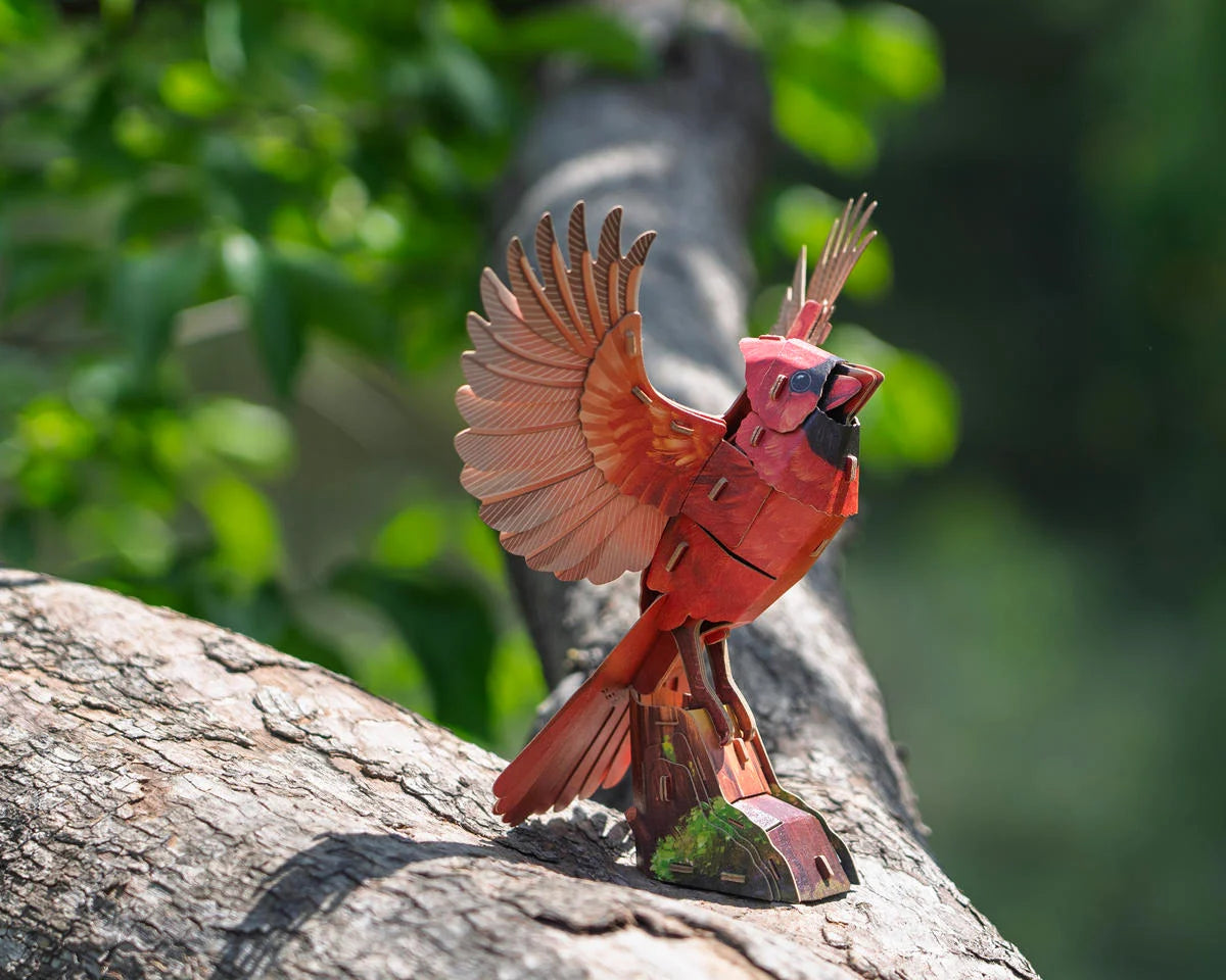 Sky Echo American Cardinal