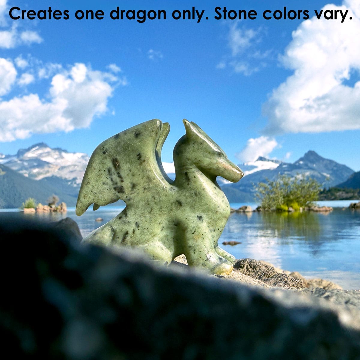 Dragon Carving Kit
