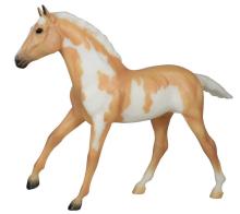 Scooter - Foal Collection