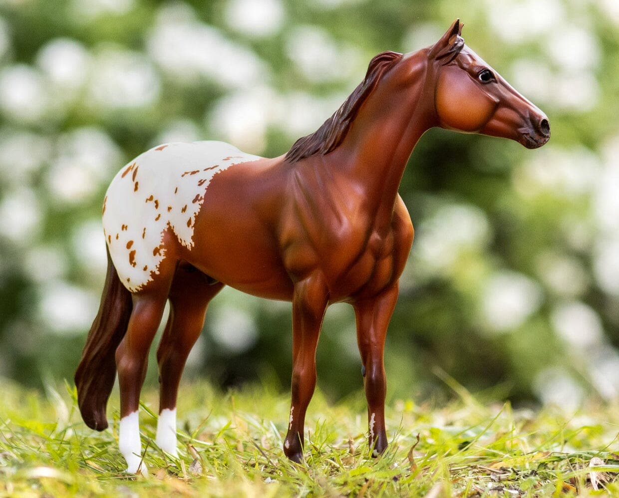 *Ideal Series - Appaloosa