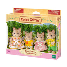 Striped Cat Family - Calico Critters