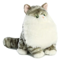 Dumpling Tabby 9.5"
