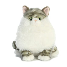 Dumpling Tabby 9.5"