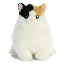 Munchy Calico 9.5"