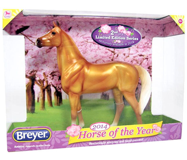 2014 Horse of the Year, Amelia, Appendix Quarter Horse