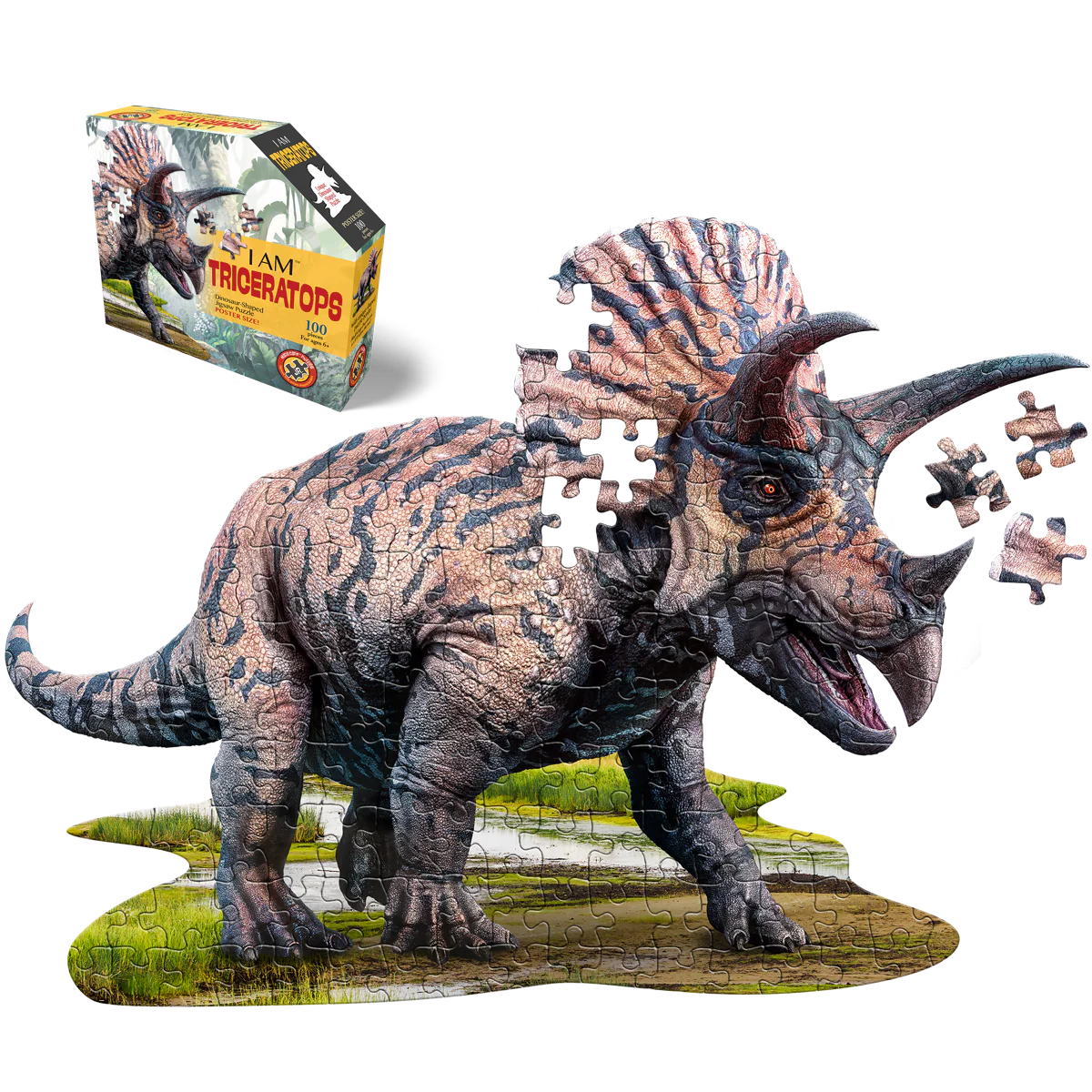 I AM Triceratops 100pc