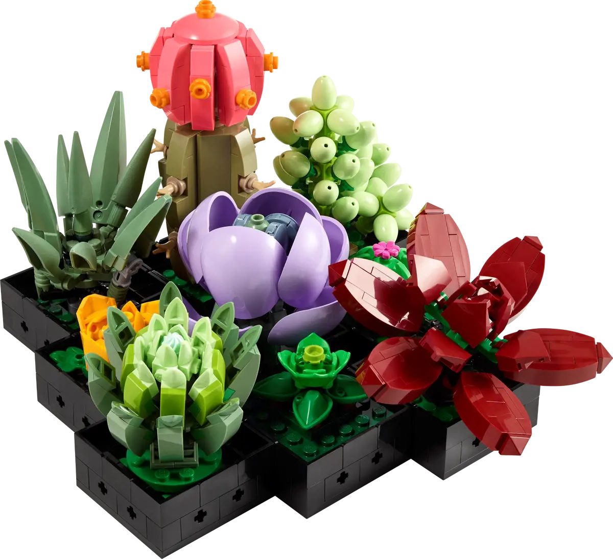 LEGO® Botanicals Succulents (10309)