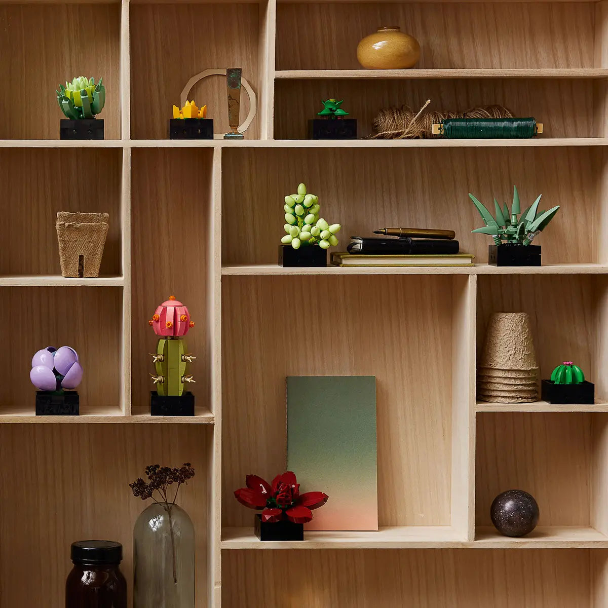 LEGO® Botanicals Succulents (10309)
