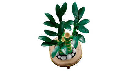 LEGO® Botanicals Lucky Bamboo (10344)