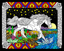 Midnight Bronco