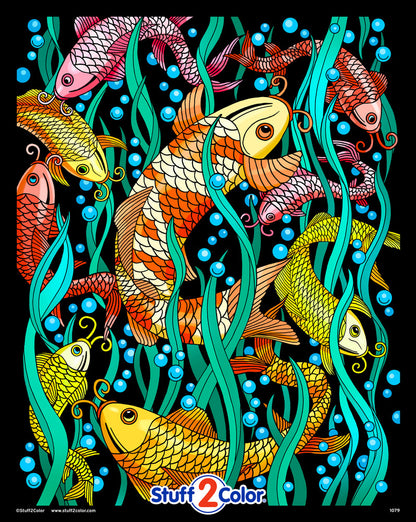 Koi Fish