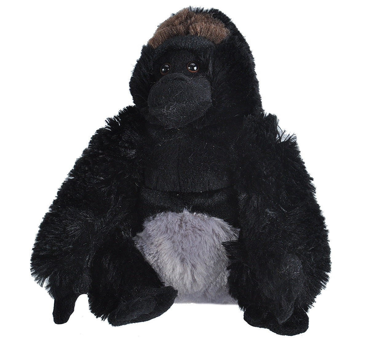 CK  Goirilla Silverback - 12"
