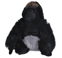 CK  Goirilla Silverback - 12"