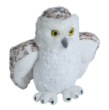 CK Snowy Owl - 12"