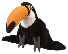 CK Toco Toucan - 12"