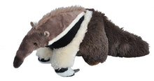 CK Anteater - 12"