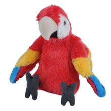 Ck Macaw Scarlet - 12"