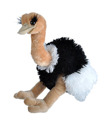 CK Ostrich - 12"