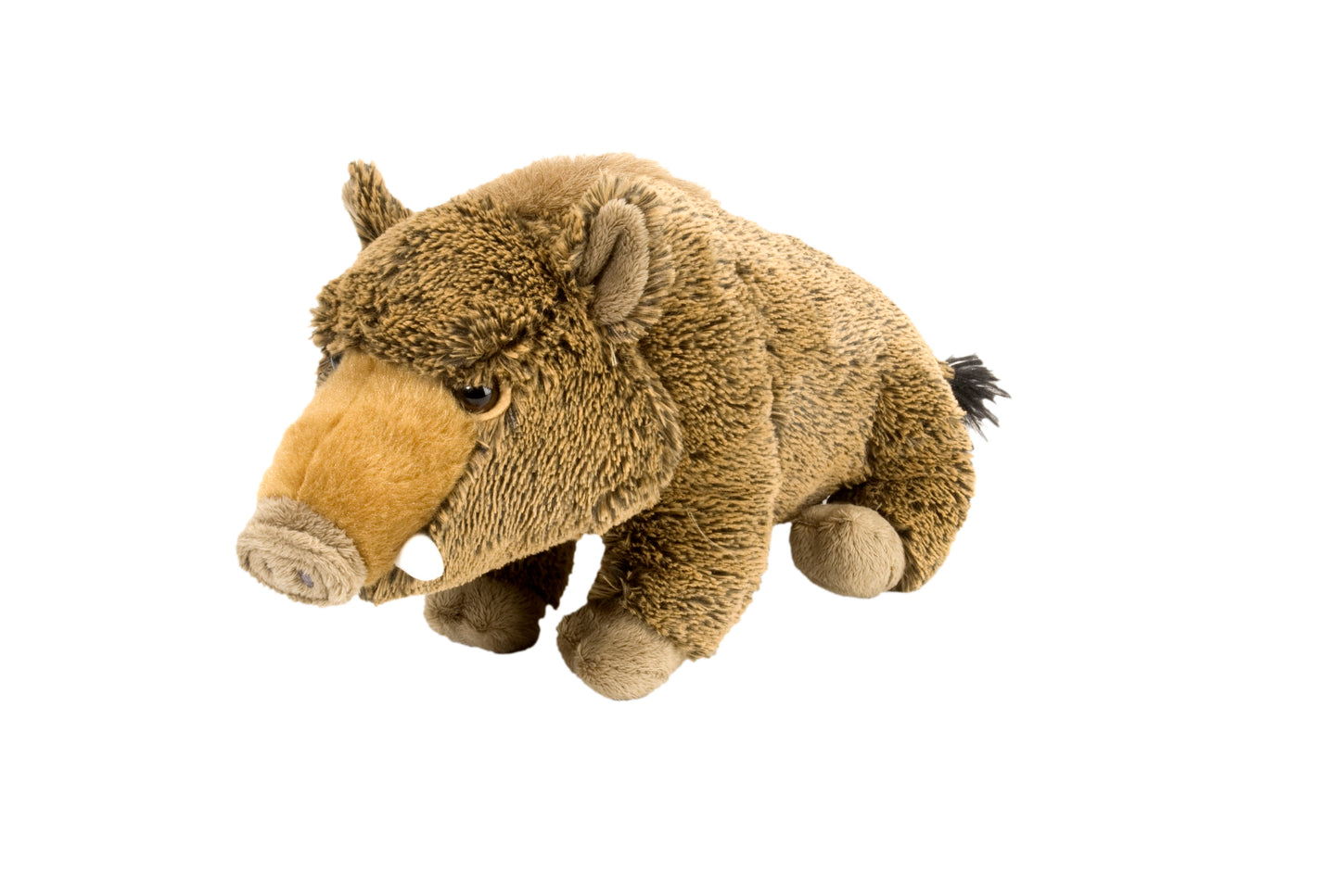 CK Wild Boar - 12"
