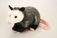 CK Opossum - 12"