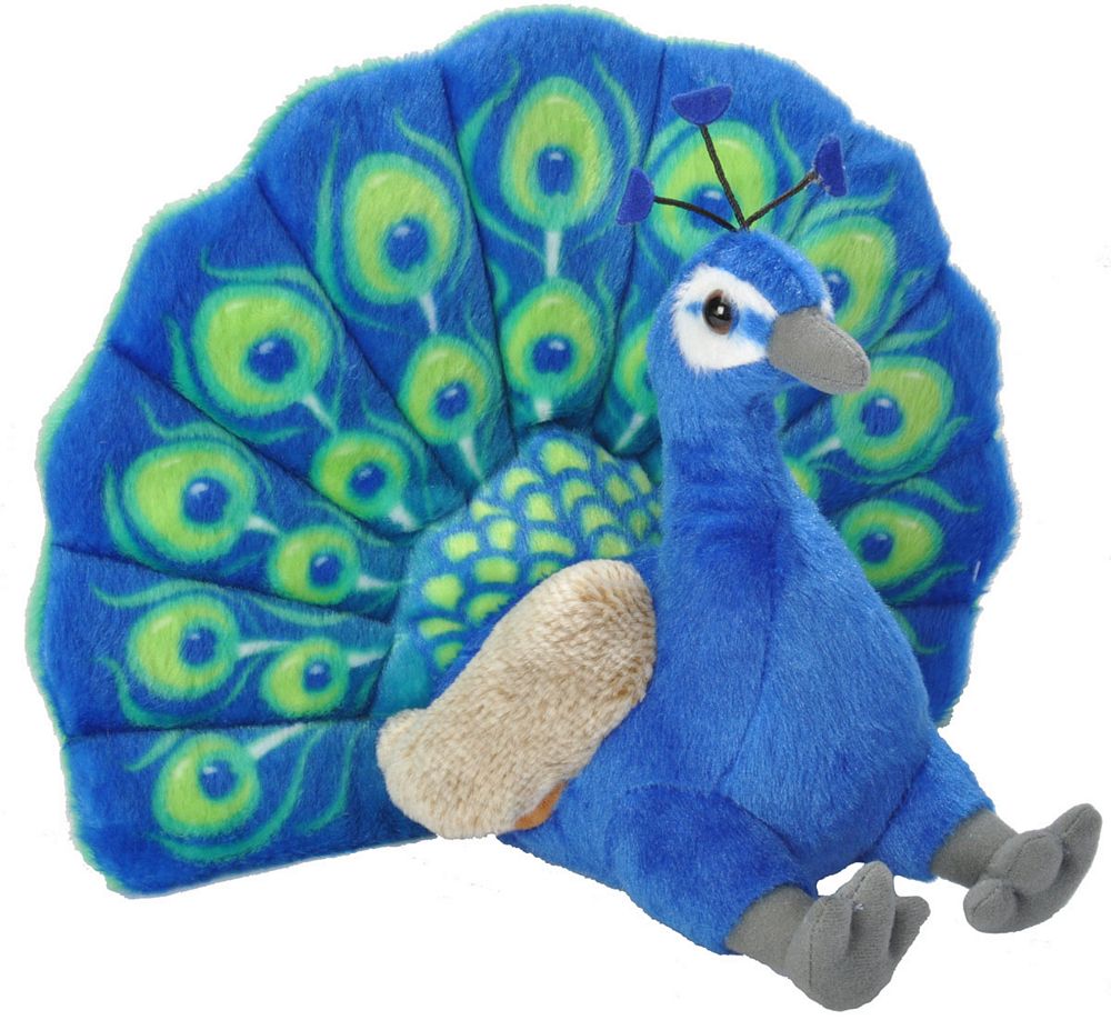 Ck Peacock - 12"