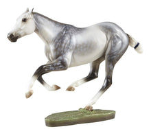 Santiago - Polo Pony Limited Edition