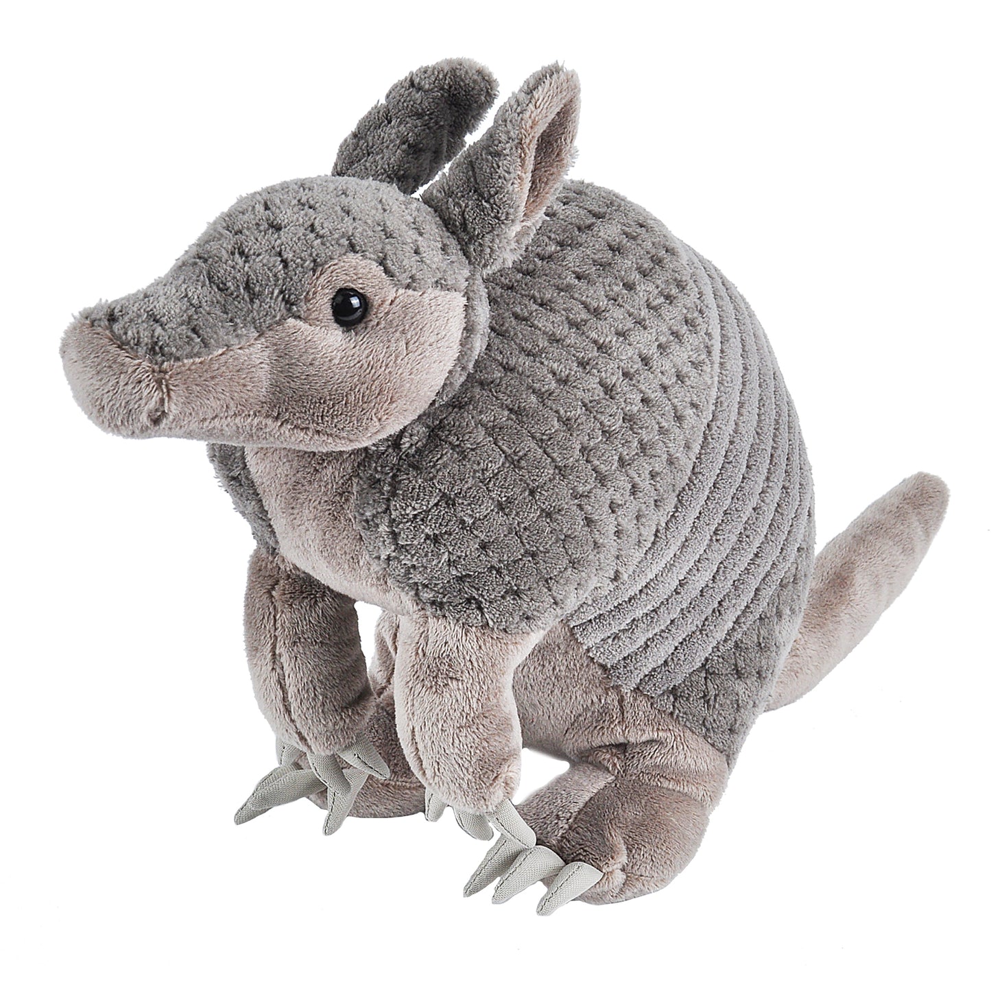 CK Armadillo - 12"